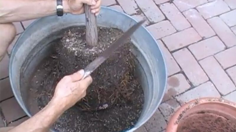 Root Pruning Container Plants