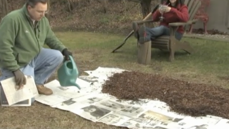 How to Start a Vegetable Garden: Removing Sod and Vegetation