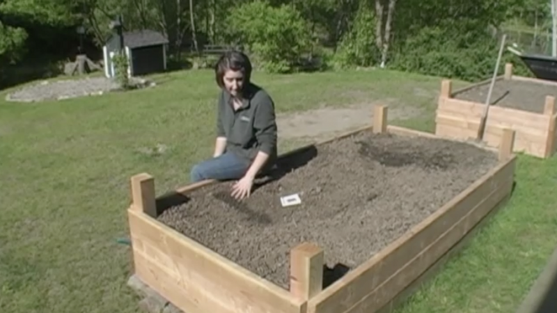 How to Start a Vegetable Garden: Direct-Sowing Vegetable Seeds