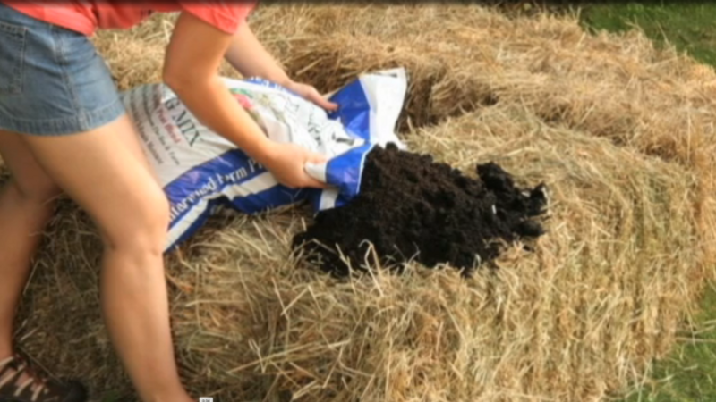 How to Make a Straw-Bale Garden