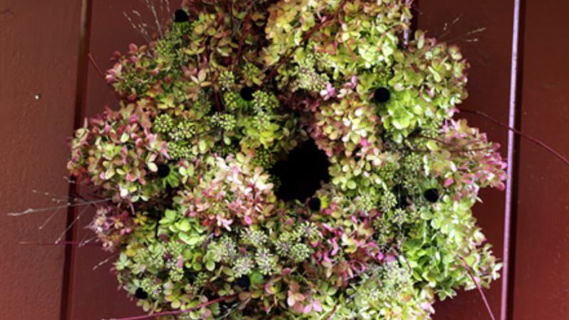 How to Make a Hydrangea Wreath | Video