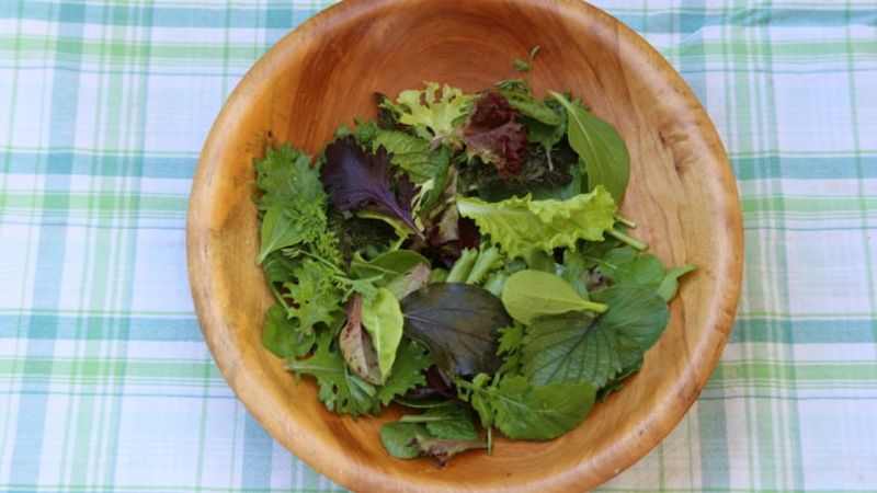 Grow Your Own Salad Mix | Video