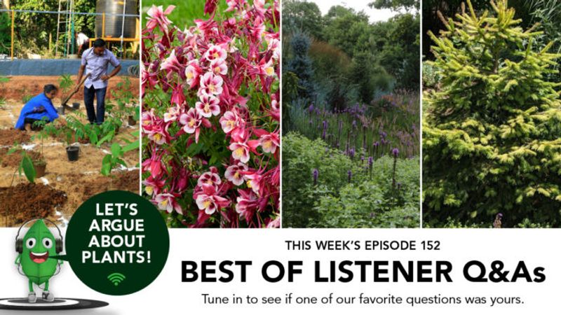 Episode 152: Best of LAAP—Best of Our Listener Q & As