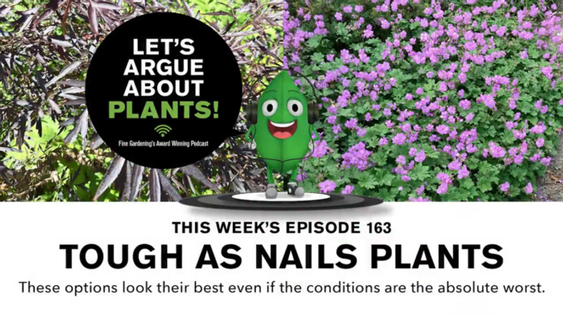 Episode 163: Tough-As-Nails Plants 