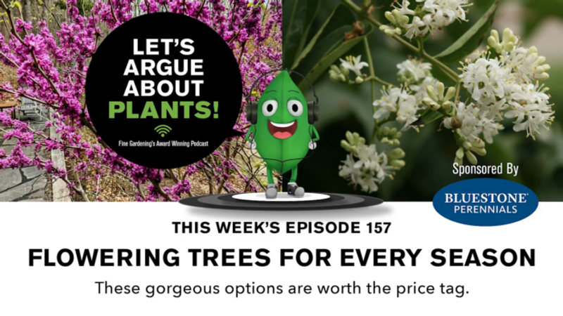 Episode 157: Flowering Trees for Every Season  
