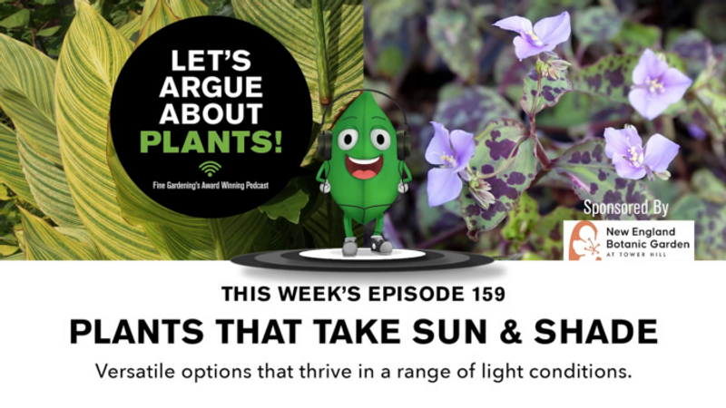 Episode 159: Plants That Take Sun and Shade   