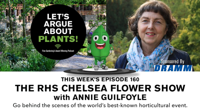 Episode 160: The RHS Chelsea Flower Show with Annie Guilfoyle  