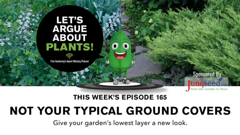 Episode 165: Not Your Typical Ground Covers