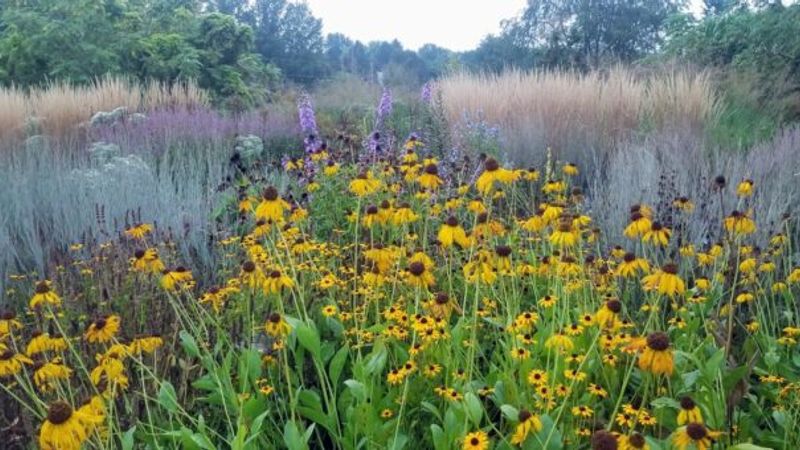 Establishing a Naturalistic Garden in Fallow, Compacted Fields | Garden Story with Donald Pell