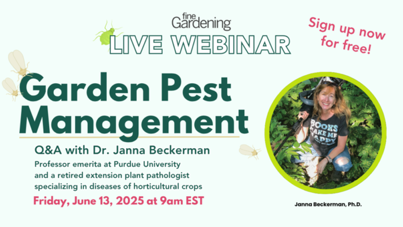 All About Garden Pest Management – Webinar with Dr. Janna Beckerman