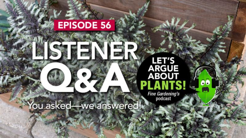 Episode 56: Listener Q & A