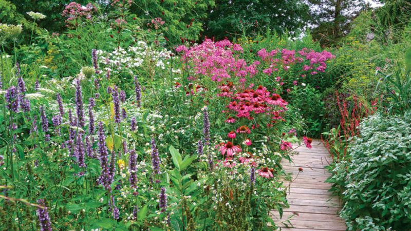 Tour a Stylish Pollinator Garden