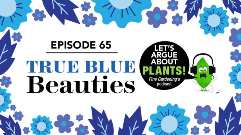 Episode 65: True Blue Beauties