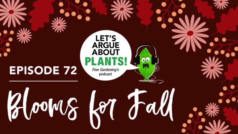 Episode 72: Blooms for Fall