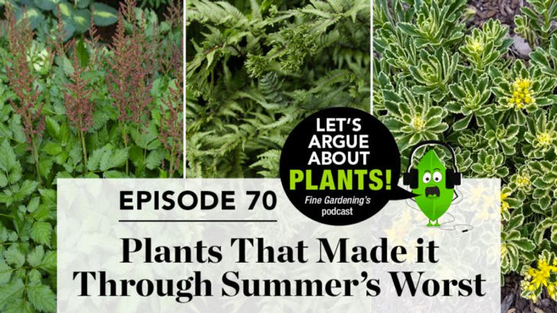 Episode 70: Plants That Made It Through Summer’s Worst
