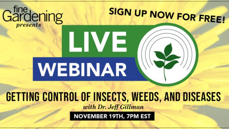 Getting Control of Insects, Weeds, and Diseases - Webinar