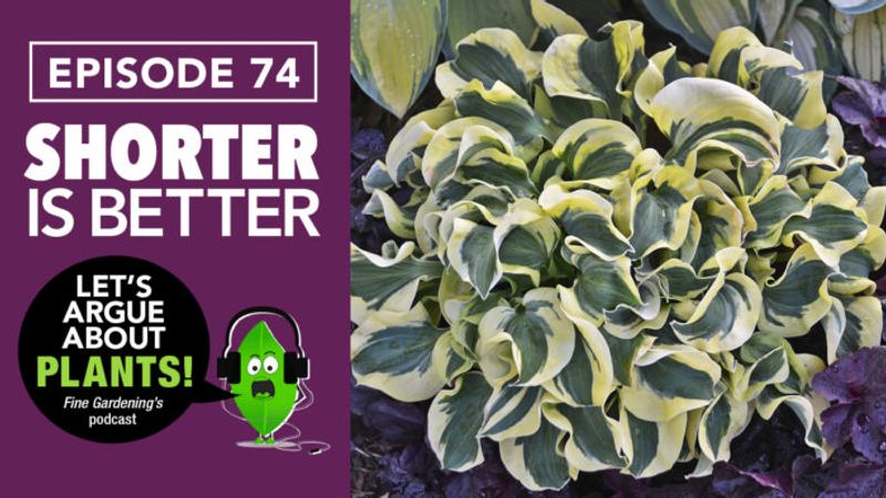 Episode 74: Short Plants Are Better