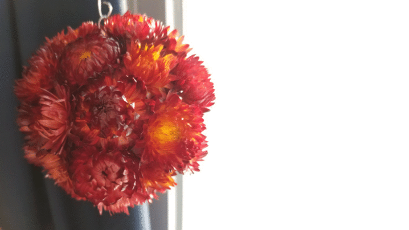 Make an Easy Strawflower Ornament