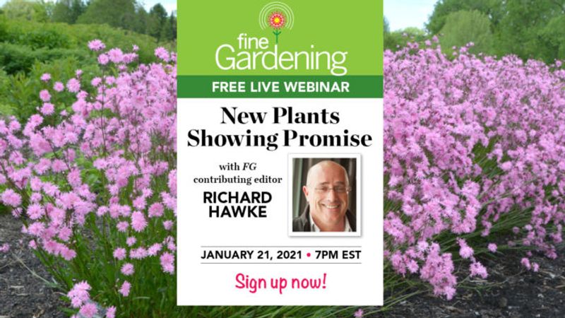 New Plants Showing Promise (Webinar)