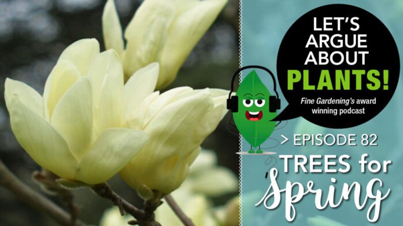 Episode 82: Spring Trees