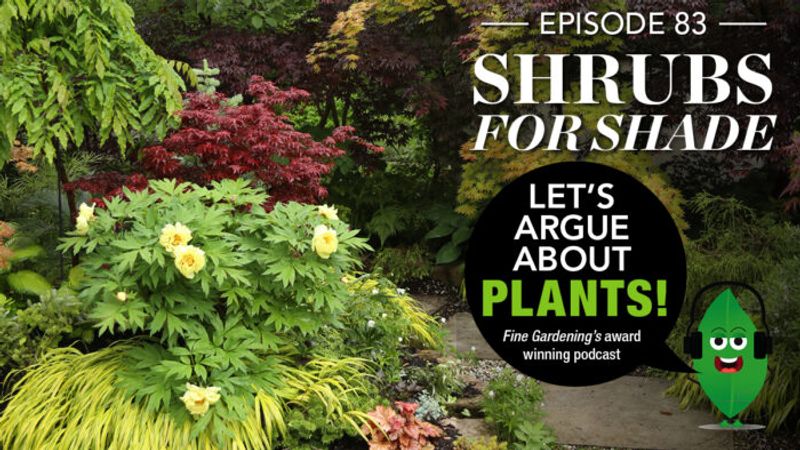 Episode 83: Shrubs for Shade