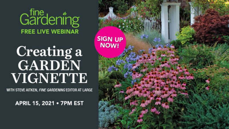 Creating a Garden Vignette (Webinar)