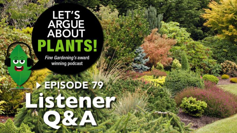 Episode 79: Listener Q & A