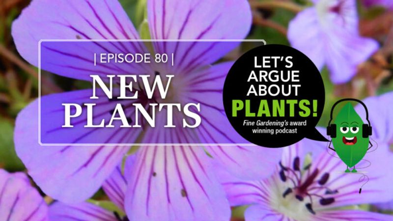 Episode 80: New Plants