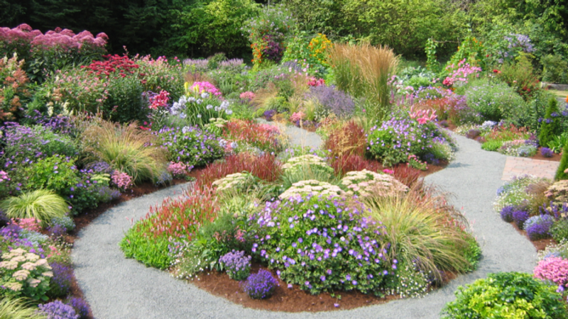Tour a Garden That Overflows With Plants and Color