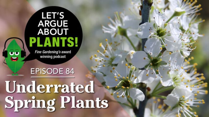 Episode 84: Underappreciated Plants for Spring