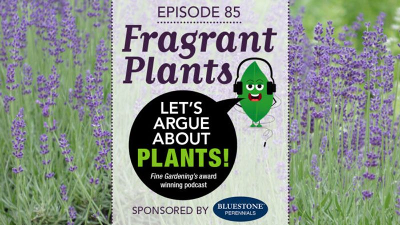 Episode 85: Fragrant Plants