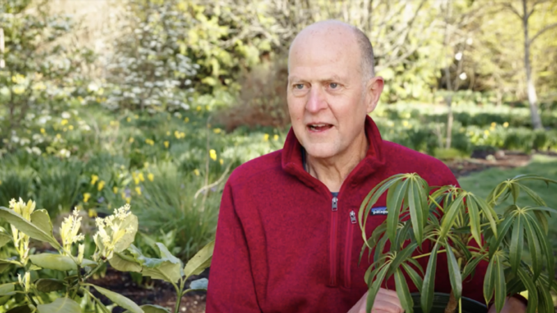 High-Performance Plants for Shade with Dan Hinkley