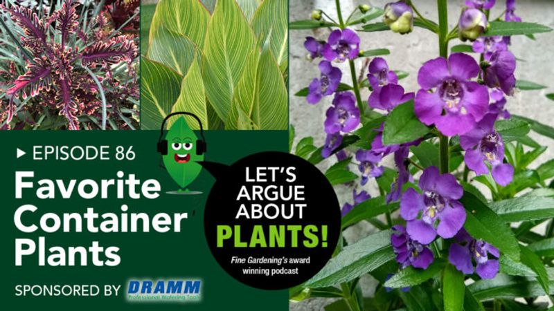 Episode 86: Favorite Container Plants