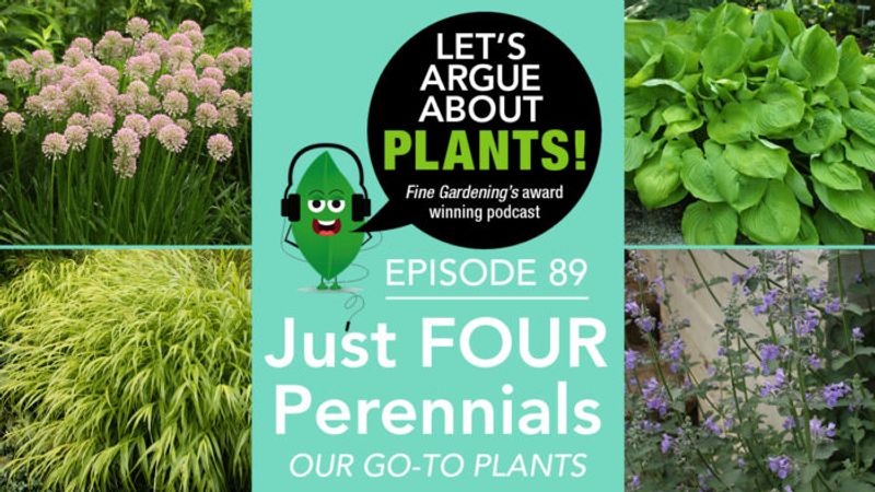 Episode 89: Just Four Perennials
