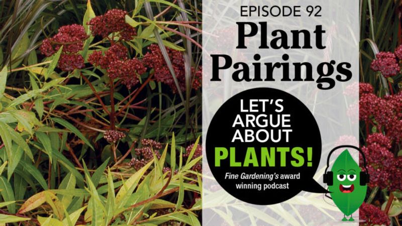 Episode 92: Favorite Plant Pairings