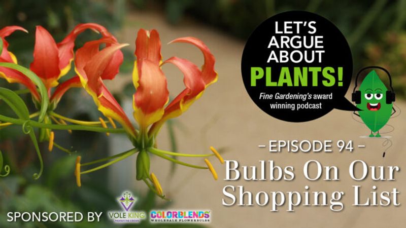 Episode 94: Bulbs on Our Shopping List