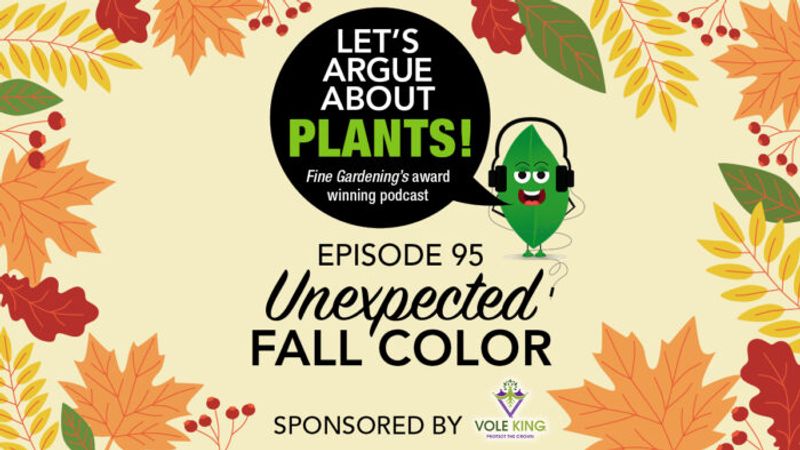Episode 95: Unexpected Fall Color