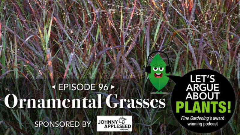 Episode 96: Favorite Ornamental Grasses