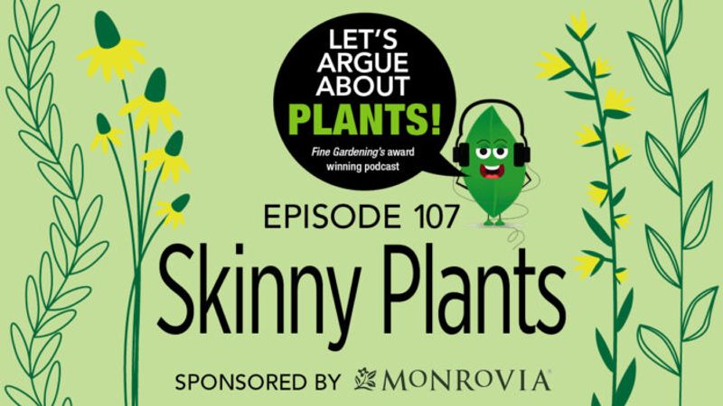 Episode 107: Skinny Plants