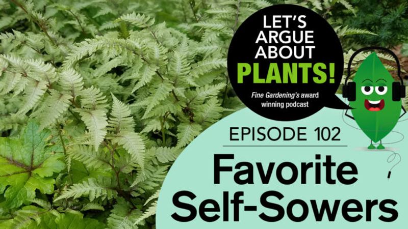 Episode 102: Favorite Self-Sowers