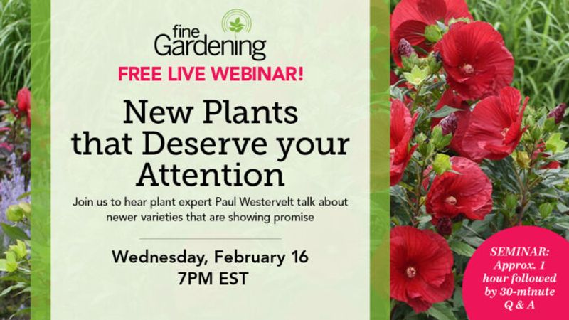 New Plants That Deserve Your Attention (Webinar)