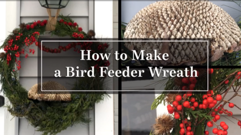 How to Build a Bird-Feeder Wreath