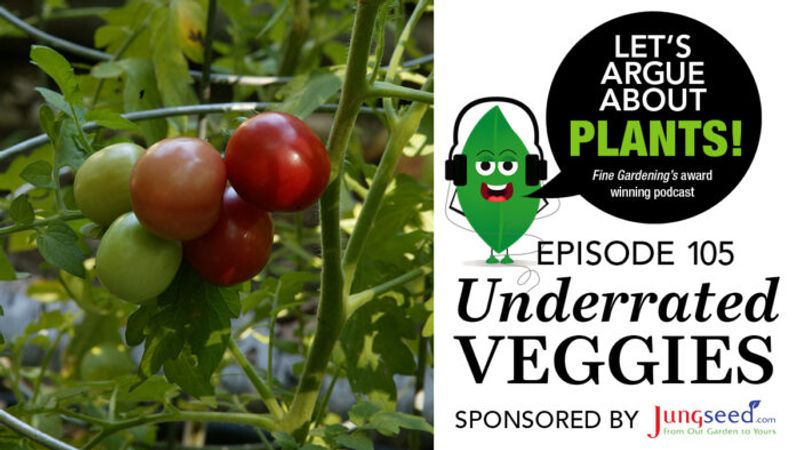 Episode 105: Underappreciated Veggies