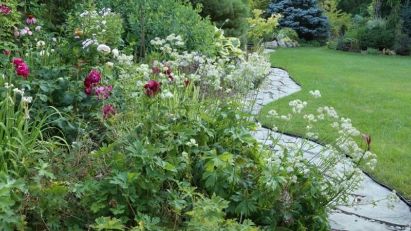 Tour a Collector’s Garden Filled With Artful Plant Combinations