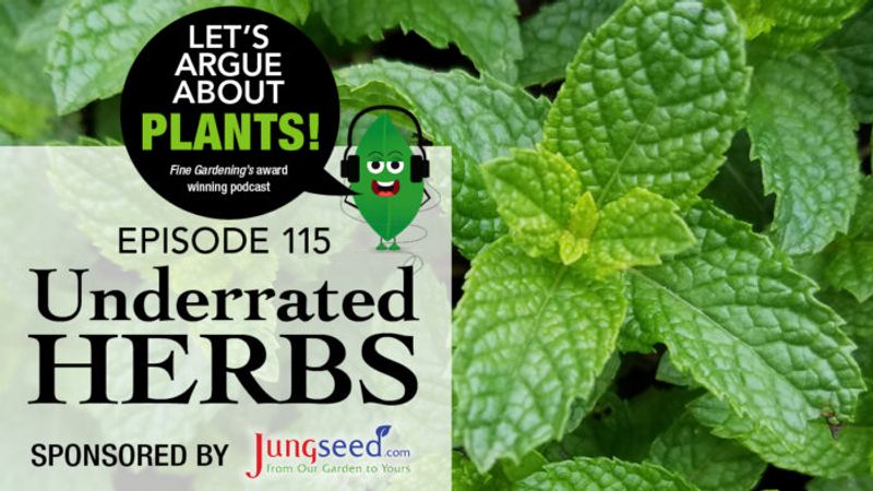 Episode 115: Underrated Herbs