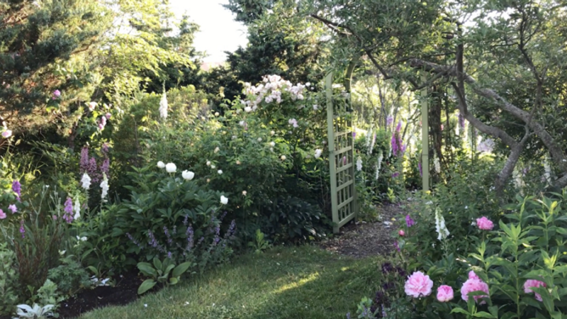 Tour a Cottage Garden Bursting With Blooms