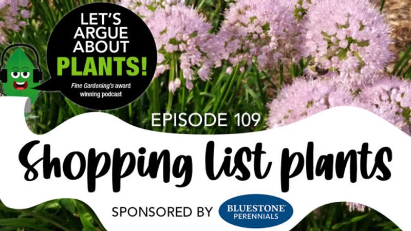 Episode 109: Shopping List Plants