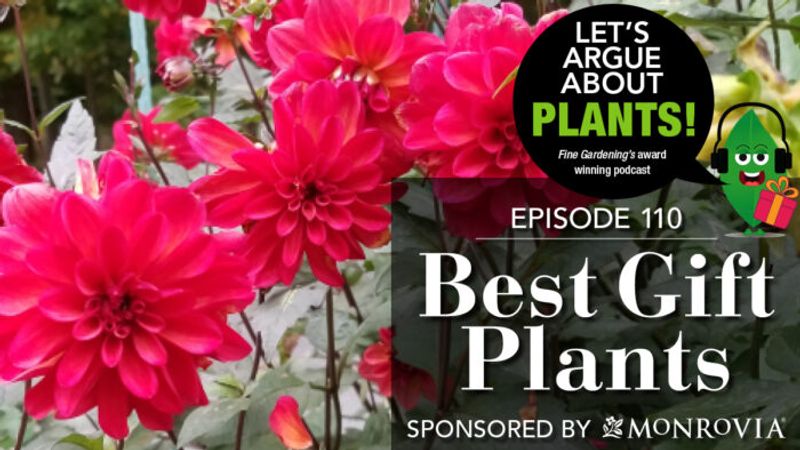 Episode 110: Best Gift Plants