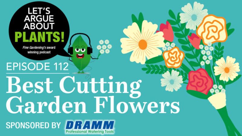 Episode 112: Best Cutting-Garden Flowers