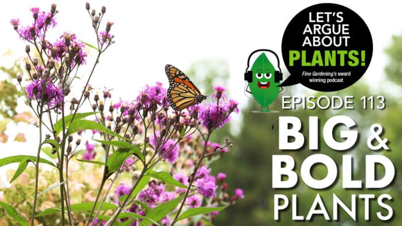 Episode 113: Big and Bold Plants